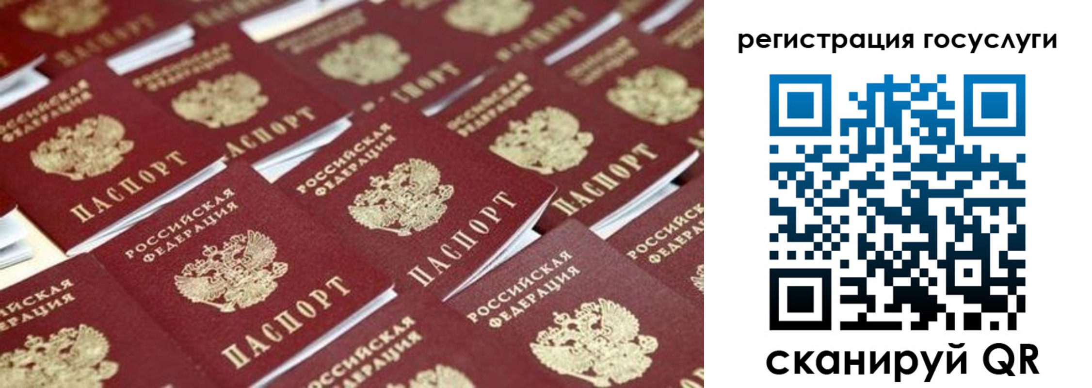 прописка ребенка в Бородино